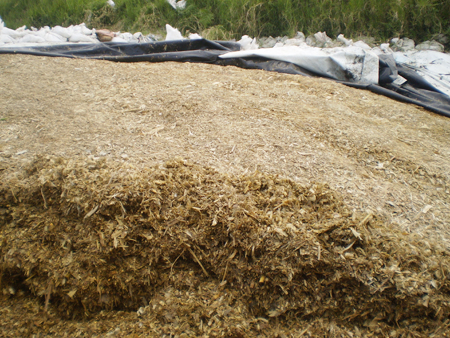 Silage pit