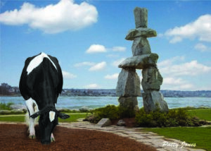 pg3_header_cedarwal_lila-z-and-inukshuk-at-english-bay-copy