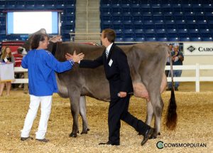 Deanna Bendig with Peach Kist Total Tango-ET, Grand Champion at Harrisburg in 2017, owned by Lindsey Rucks, FL