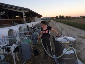Monique Rey Pradervand feeding calves at her farm in Switzerland