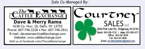 Sale_Co_Manager_Cattle_Exchange_Courtney