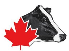  Holstein Canada Sets New Record for Registrations