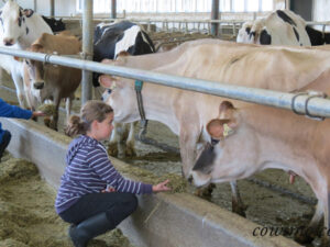 Dairy Day Huntcliff Alberta Milk