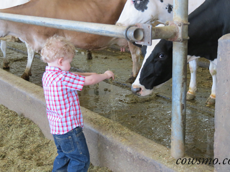 Dairy Day Huntcliff Alberta Milk