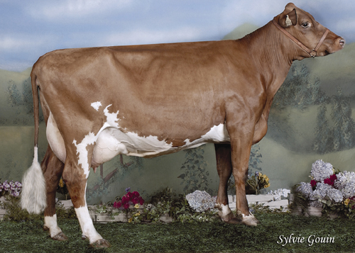  Ronick Wilton Sierra VG-87 3* is an exceptional producer with 61,871 kg of milk in 5 lactations. Sierra is the dam of Ronick Simbad