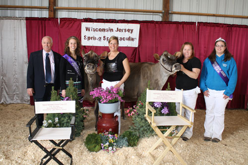 Res Intermediate Champion of Open Show - Ratliff Remake Morgan-ET Intermediate Champion of Open Show - Woodmohr Mini Aspen