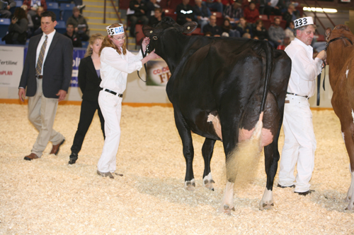 Andrea & Haven winning Mature Cow 2011
