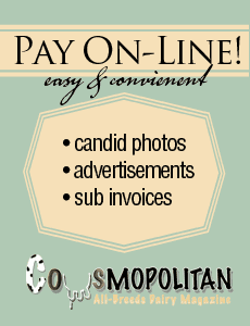 payonline_graphic