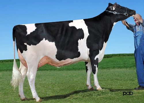 There she is Freddie Felicia VG-85 with VG MS, with first choice selling as lot number 68!