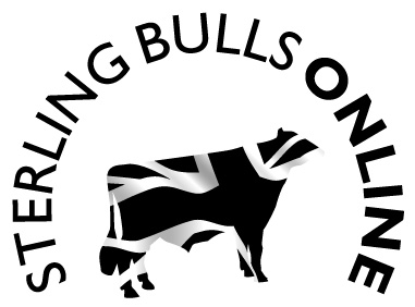 Sterling Bulls