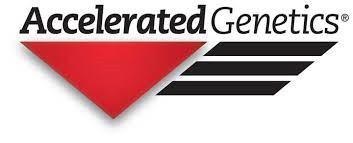 accelerated genetics logo