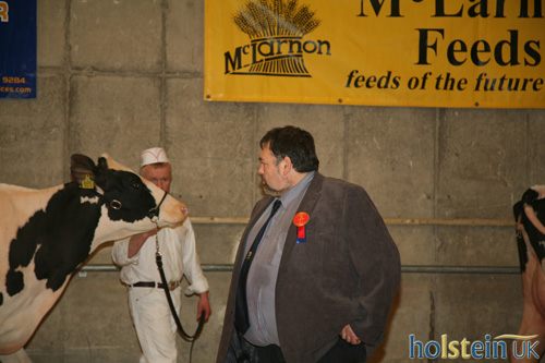 Irish National Holstein Show 2014