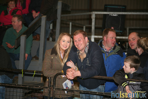 Irish National Holstein Show 2014