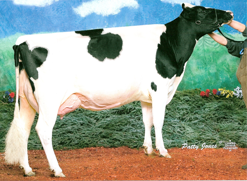 MAHEUFILS MASTER BREEDER 2013