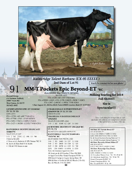 "Beyond" is an Epic daughter going back to the Barbara's! She shows as a Milking Yearling this Fall! She's due in August to BLK Forest RMH Licorice-Red! 