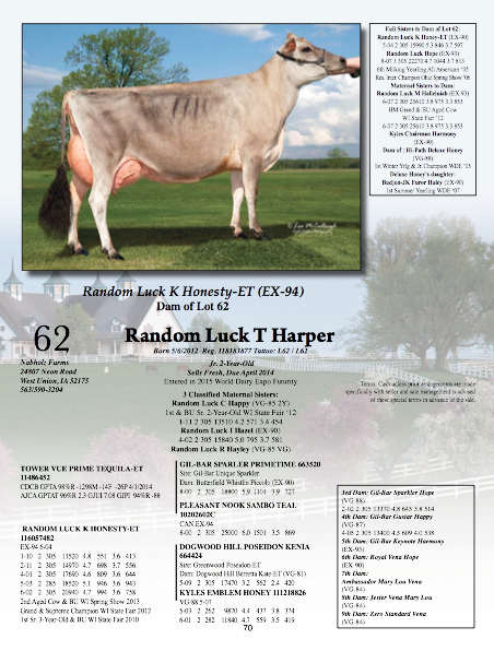 "Harper" is a Tequila Jr 2-Yr-Old, sells Fresh!  She's been entered in the 2014 WDE Futurity! 