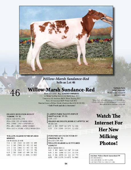 "Sundance" was the Unanimous All American R&W Winter Yearling 2013, she's a maternal sister to "Sunburst" and she sells Fresh! 