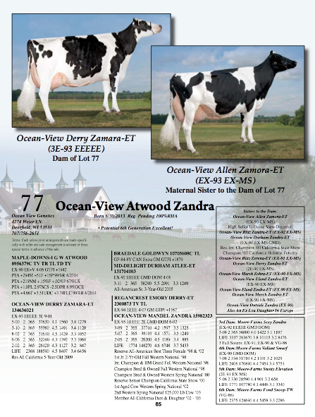Ocean View Genetics Day at Derby Consignment 2014