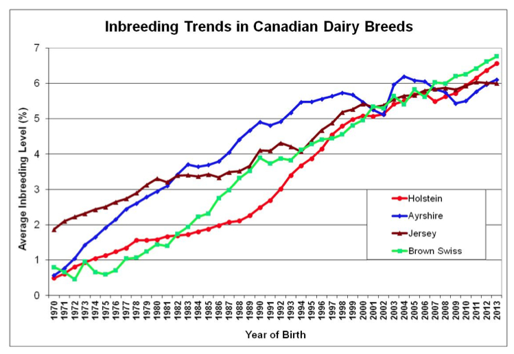 inbreeding in cdn dairy