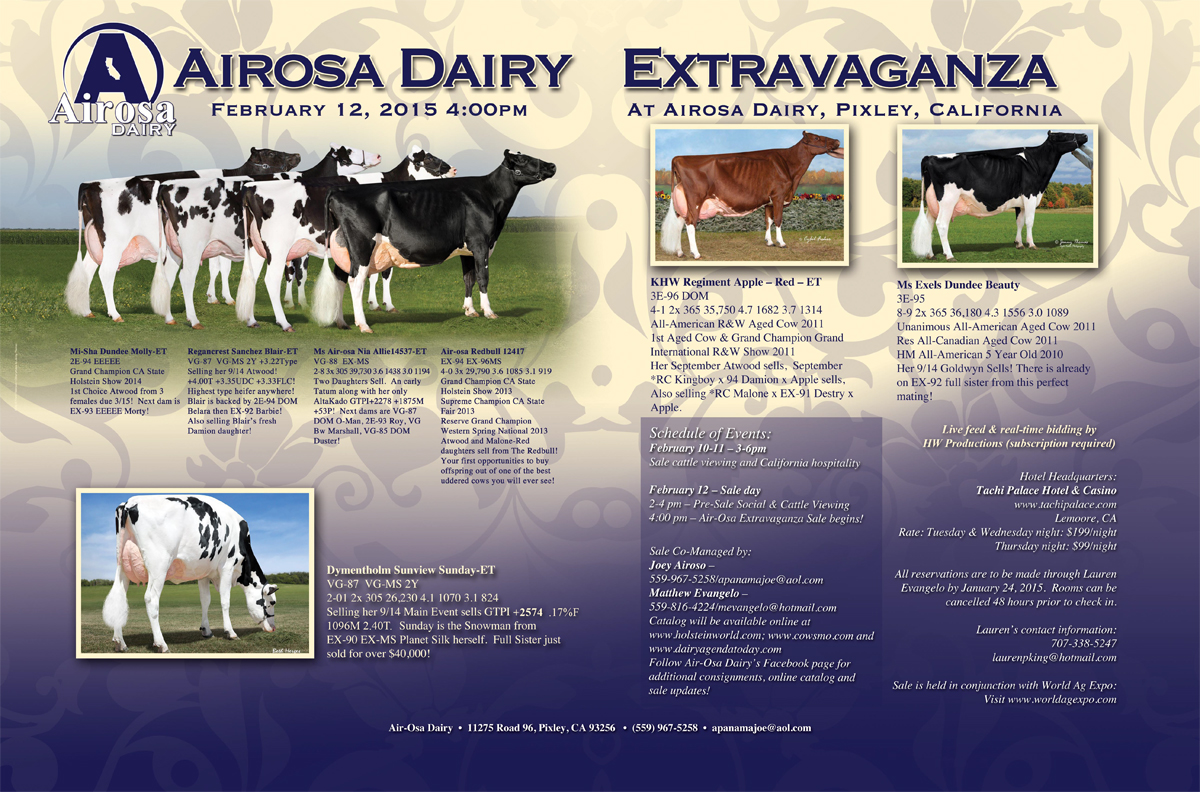 Air-Osa Dairy Extravaganza Sale 2015