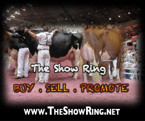 The Show Ring