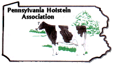 Pennsylvania Spring Holstein Show 2019