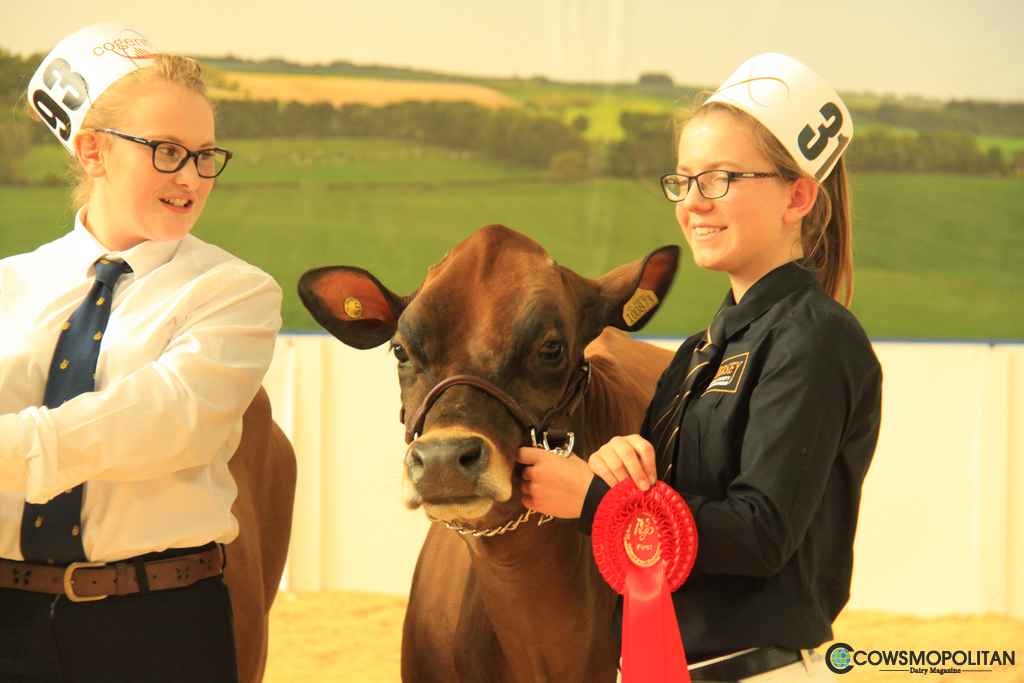 All-Breeds All-Britain Showmanship Contest 2016