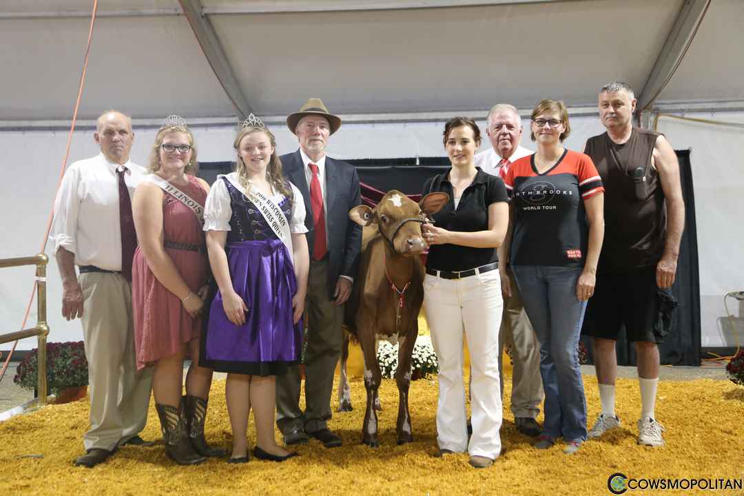 World Premier Brown Swiss & Milking Shorthorn Sale 2016 - Cowsmo