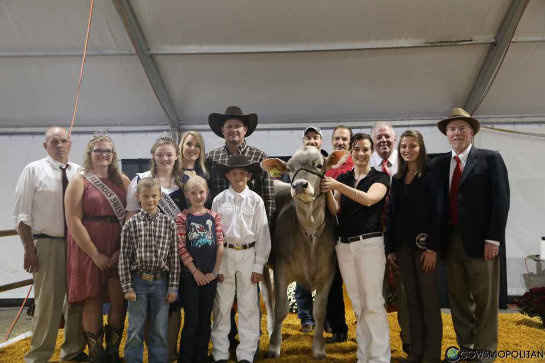 World Premier Brown Swiss & Milking Shorthorn Sale 2016 - Cowsmo