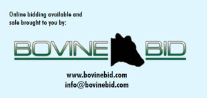 bovine-bid-logo