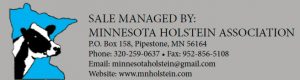 mn-holstein-assoc-sale-manager