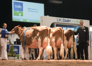 ayrshires-at-uk-dairy-day-2016
