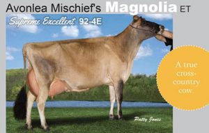 Avonlea Mischief's Magnolia-ET Named Jersey Canada Cow of the Year