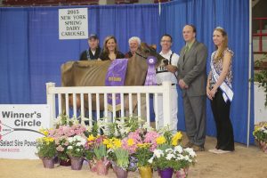 One of Peter’s main partners outside Ken is, Tom & Kelli Cull of Budjon Farms. They are seen here with Grand Champion, Carly Tequila Alley with Roger Turner on the halter, Judge Stephens and the Jersey Queen.