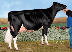 Arethusa Sid Tess the 1st Fall Yearling in Milk at 2015 International Holstein Show
