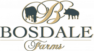 Bosdale Farms Reports Great Classification Results