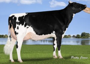 Webb View Butterball Dempsey EX91