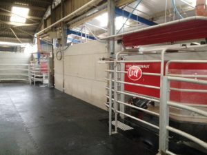 Two of the Lely A4 units pictured at Bargreen Holsteins