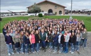Coming from 37 colleges in 25 states and three provinces, 230 students participated in the three-day Dairy Challenge, held March 3-April 1, in Visalia, Calif.