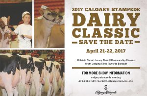 Calgary Stampede Dairy Classic Jersey Show 2017