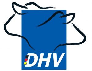 DHV Releases Top April 2017 RZG Holstein Bulls