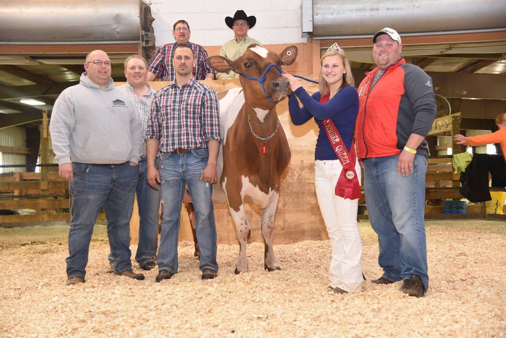 Wisconsin State Ayrshire Sale 2017 Cowsmo