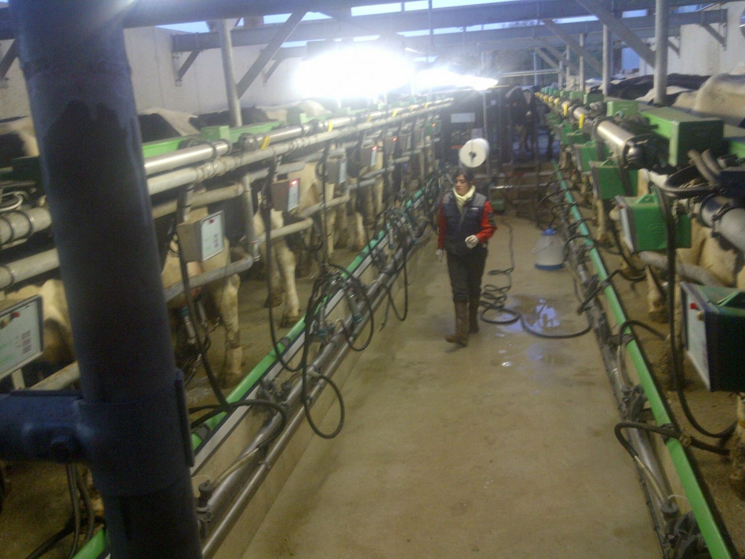 Gaec De La Ville Gourio 'Around the World of Dairy' Tour Cowsmo