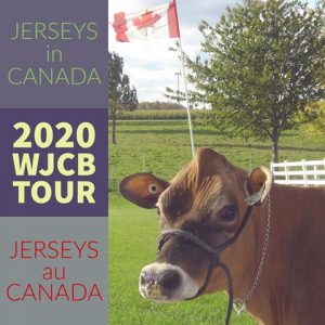 World Jersey Cattle Bureau Tour 2020 Comes to Canada