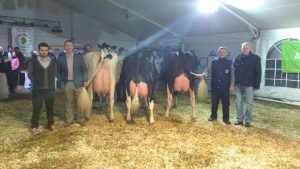 Argentinian National Holstein Show 2017