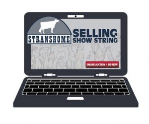 Stransome-Selling-the-Show-String_1cowsmo2017