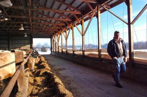 A Wisconsin dairy farmer is seeking more than $6 million in a stray voltage suit.
