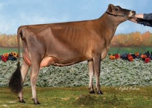 FLM Tradition Flower VG-89% (2015 Undefeated Milking Yearling) Owned by Frigot, Lancaster, Mahovlic & Phillips