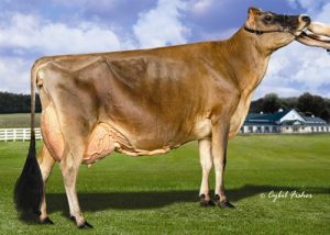 Fermar Paramount Joy, 2E-94, dam of 6 cows in the Top 10 LPI and Top 10 Pro$