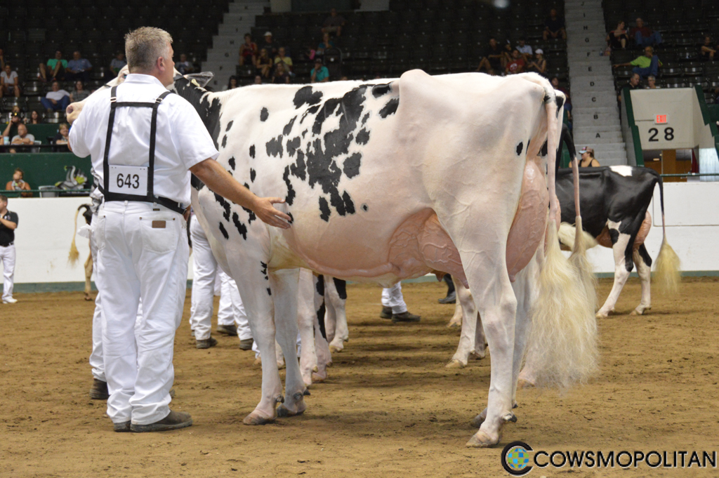 Arethusa Wind Avocado is the newest - Cowsmopolitan, Inc